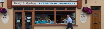 Tracey-Sheehan Veterinary Surgeons