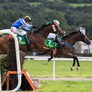 Listowel-Races-Over-The-Hurdles